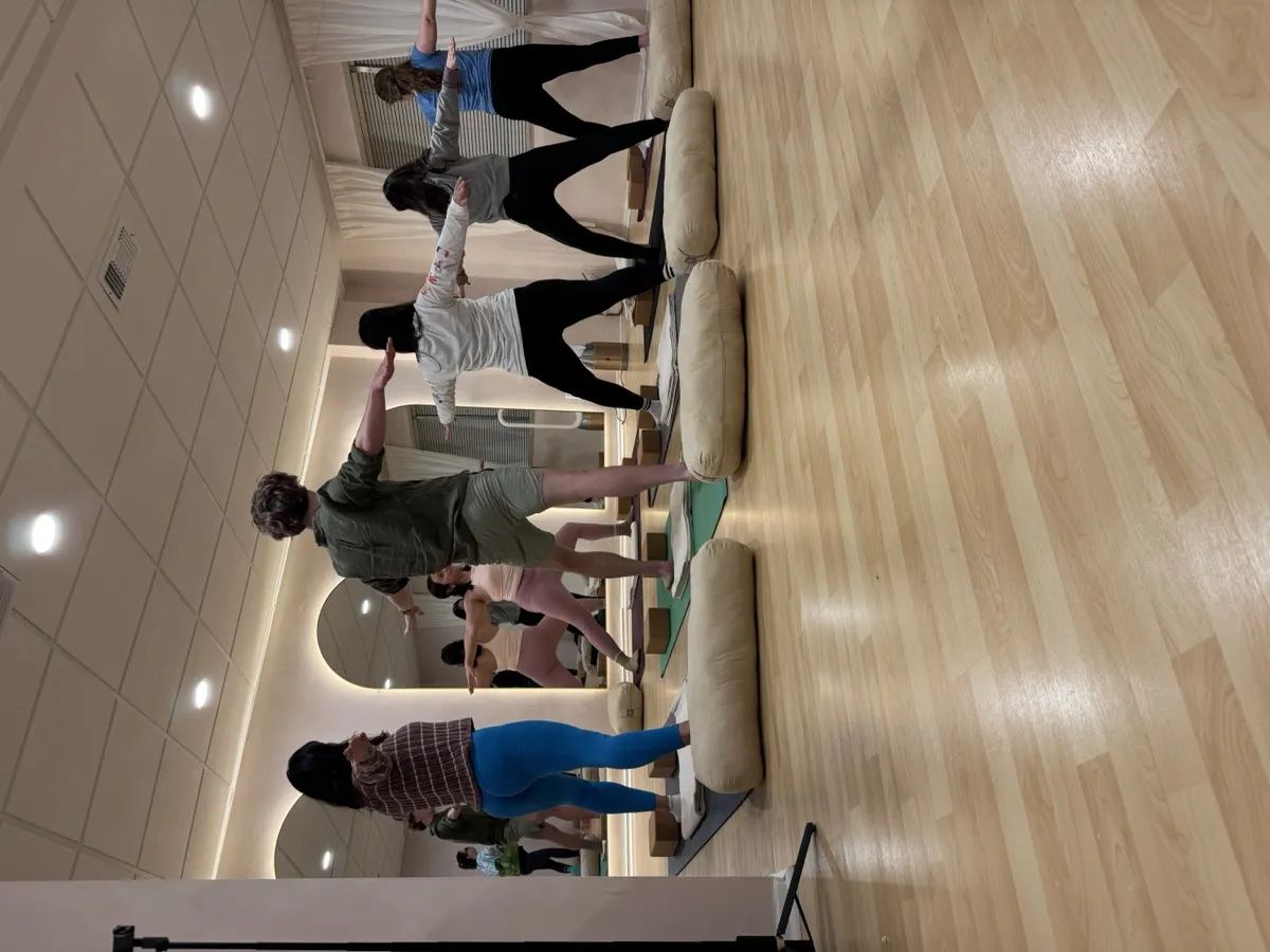 Yoga mats arranged for a group class